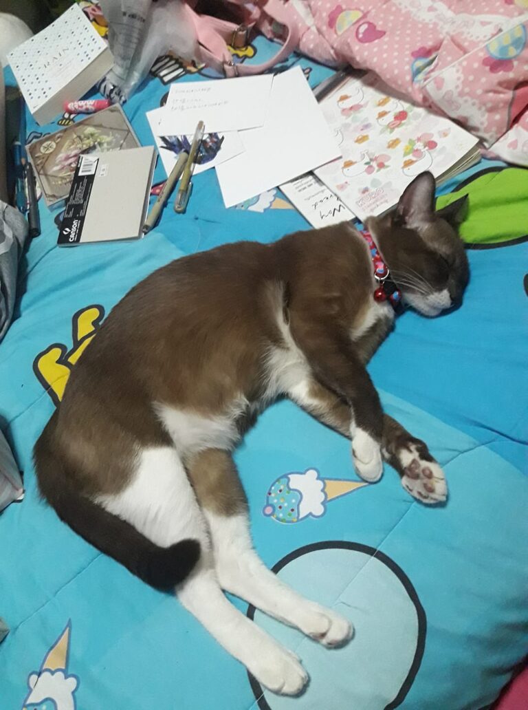 Good sleep.