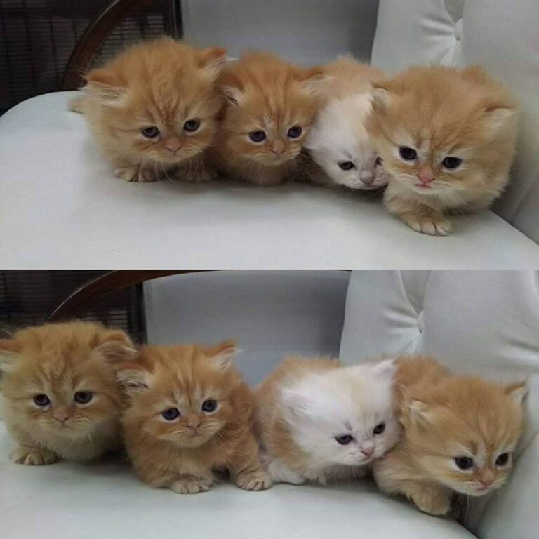 They deserve so much hugs kisses and loves!!