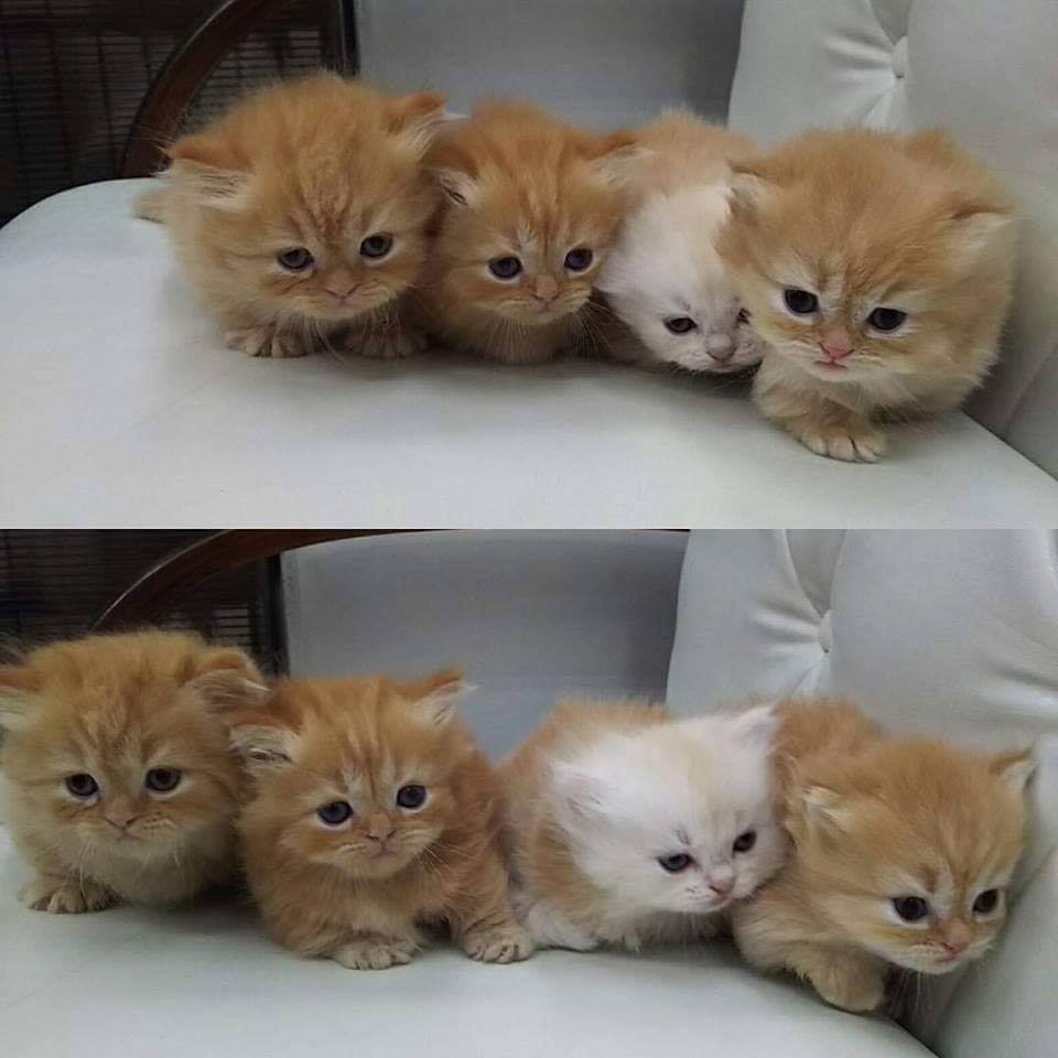 They deserve so much hugs kisses and loves!!