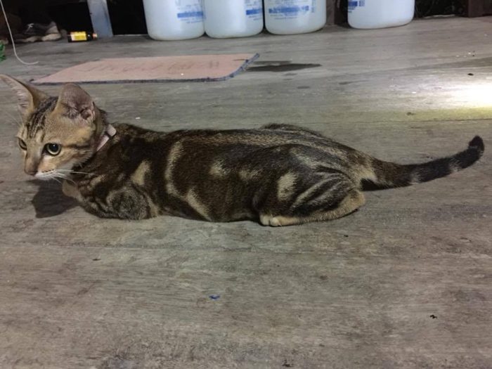 I just miss you from me.