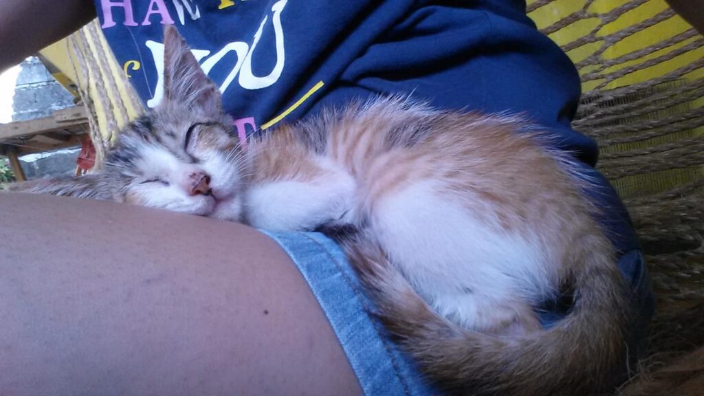 Cant move she want to sleep.