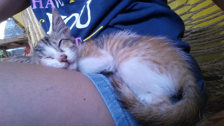 Cant move she want to sleep.