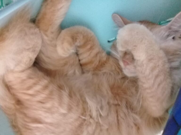 no camera please...