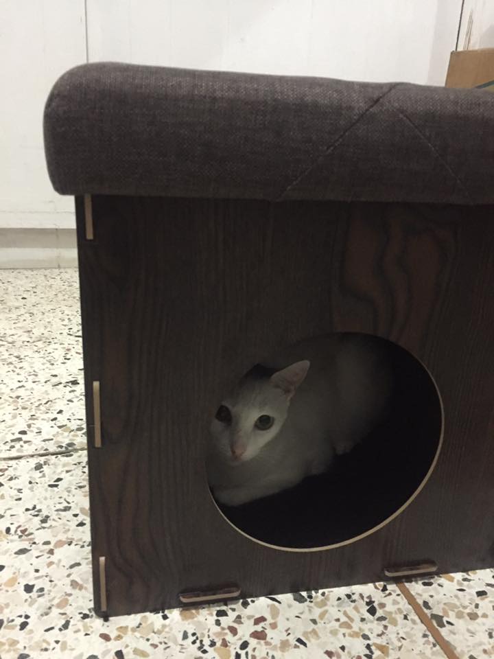 My gift to one of my babies. She's enjoying it.