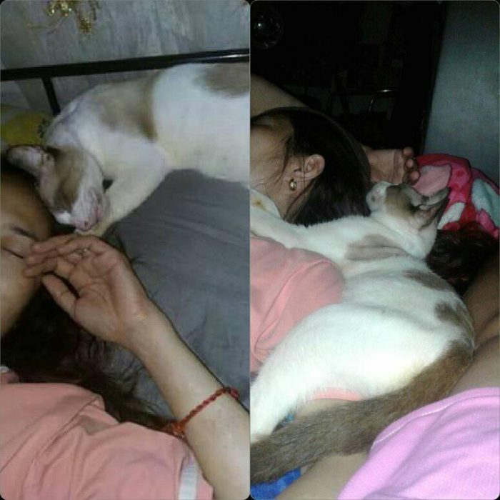 Here's how our cat do while his momma sleeping