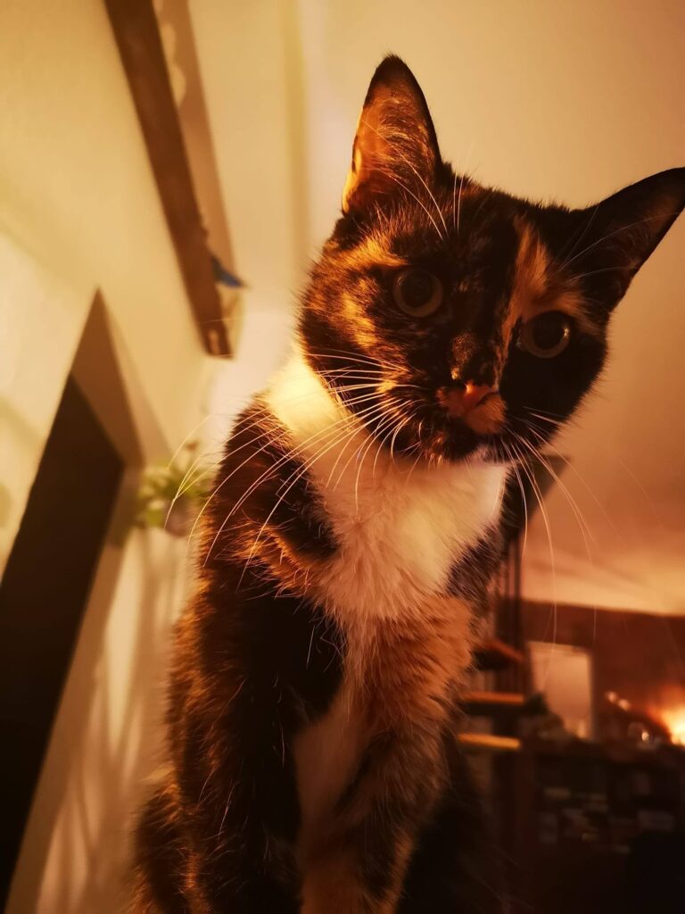 Mila says hi to all the people