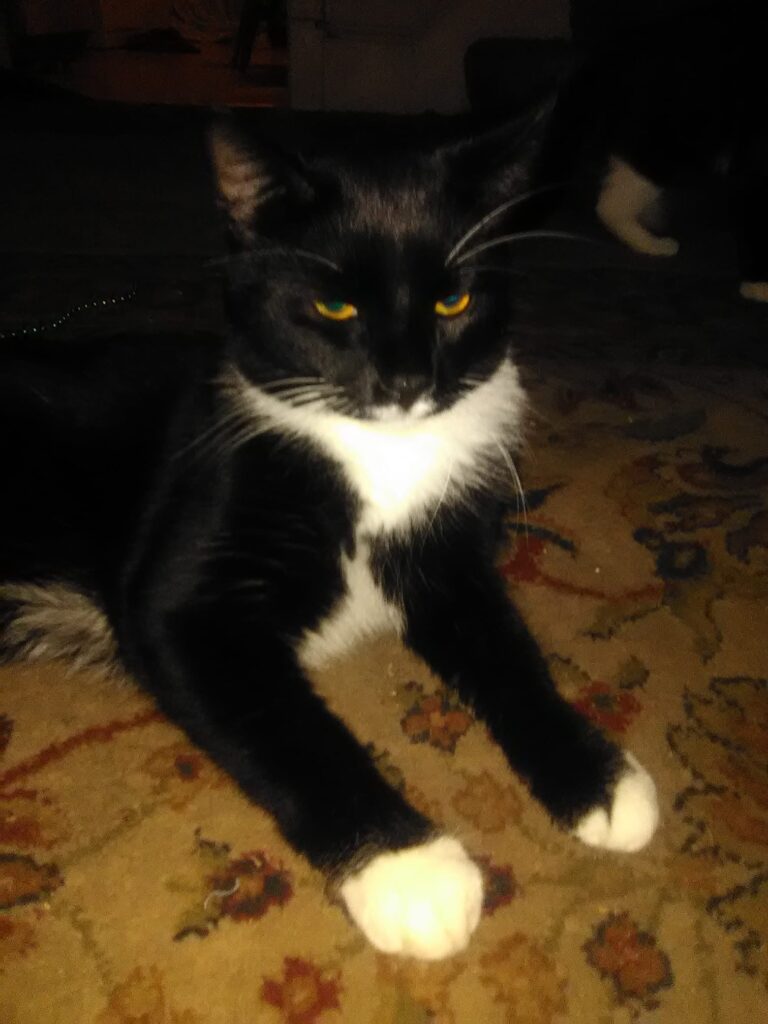Louie he's so glad mommy is home