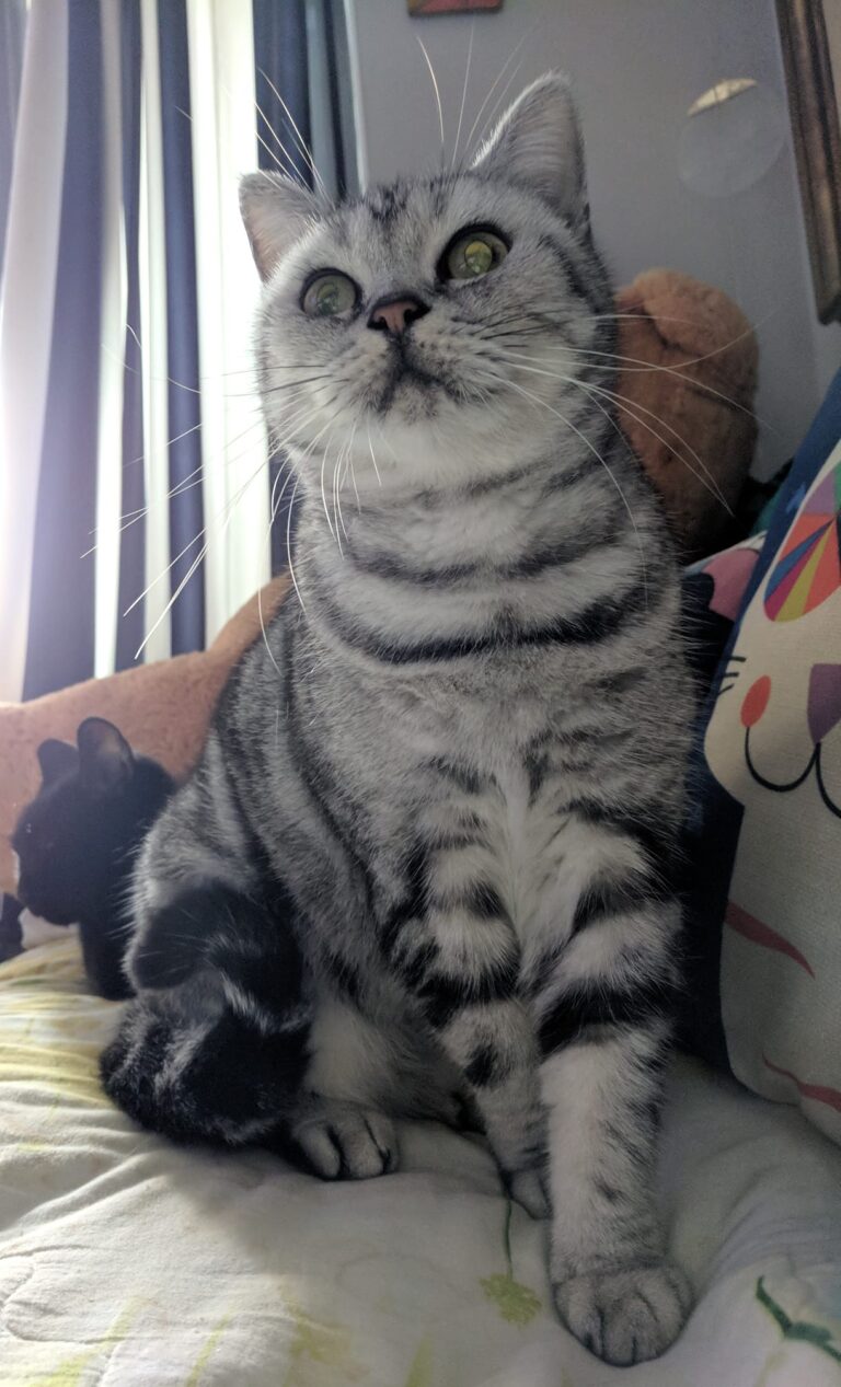Eyes on me!