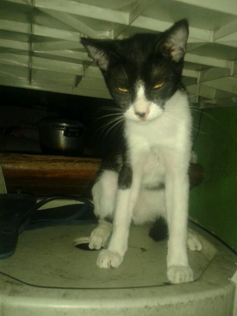 My batman
