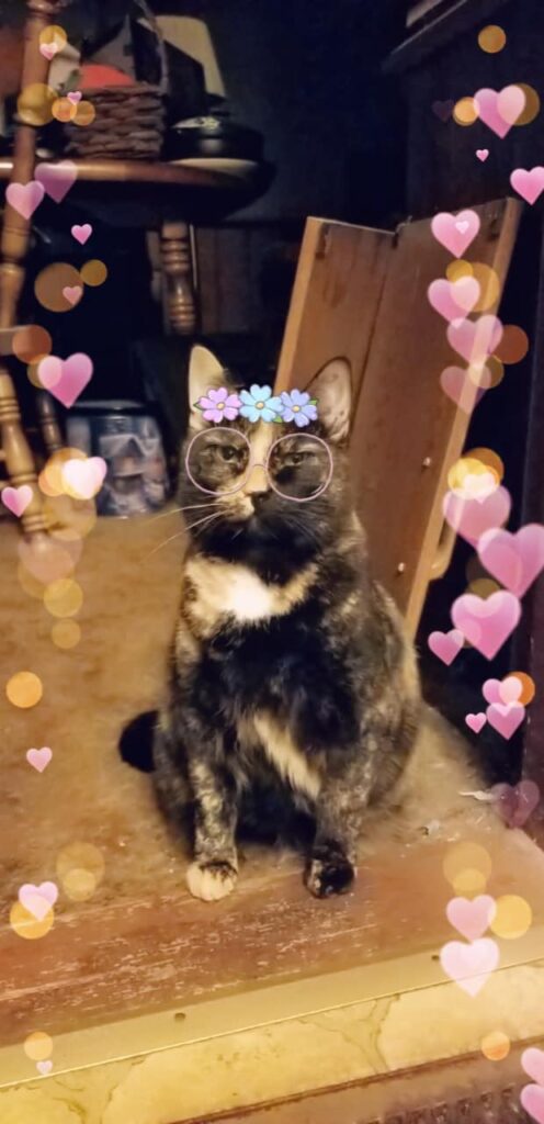 Theres a new filter on snapchat! This is my tikky tac!