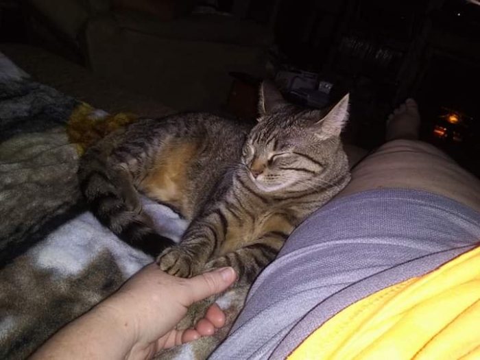 Bella Grace loves holding hands