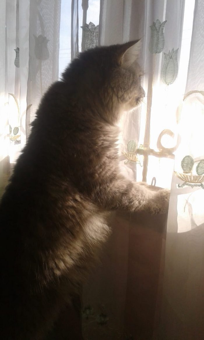 staring for my future  BU-BU 1y4m old