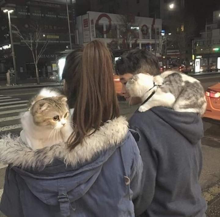 Goals