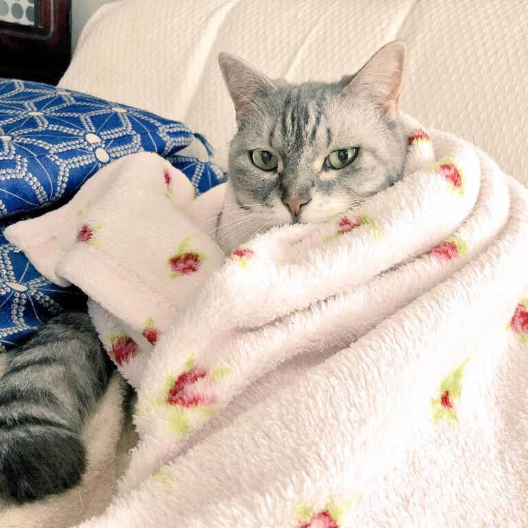 Hi there, I'm Flora. Show me how your bed looks like