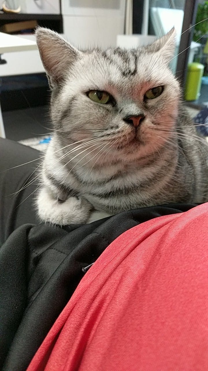 Hey,what r u doing?