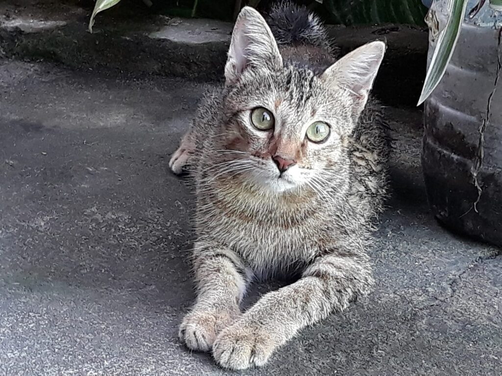 Love you baby rangya