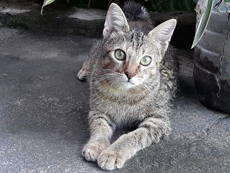 Love you baby rangya