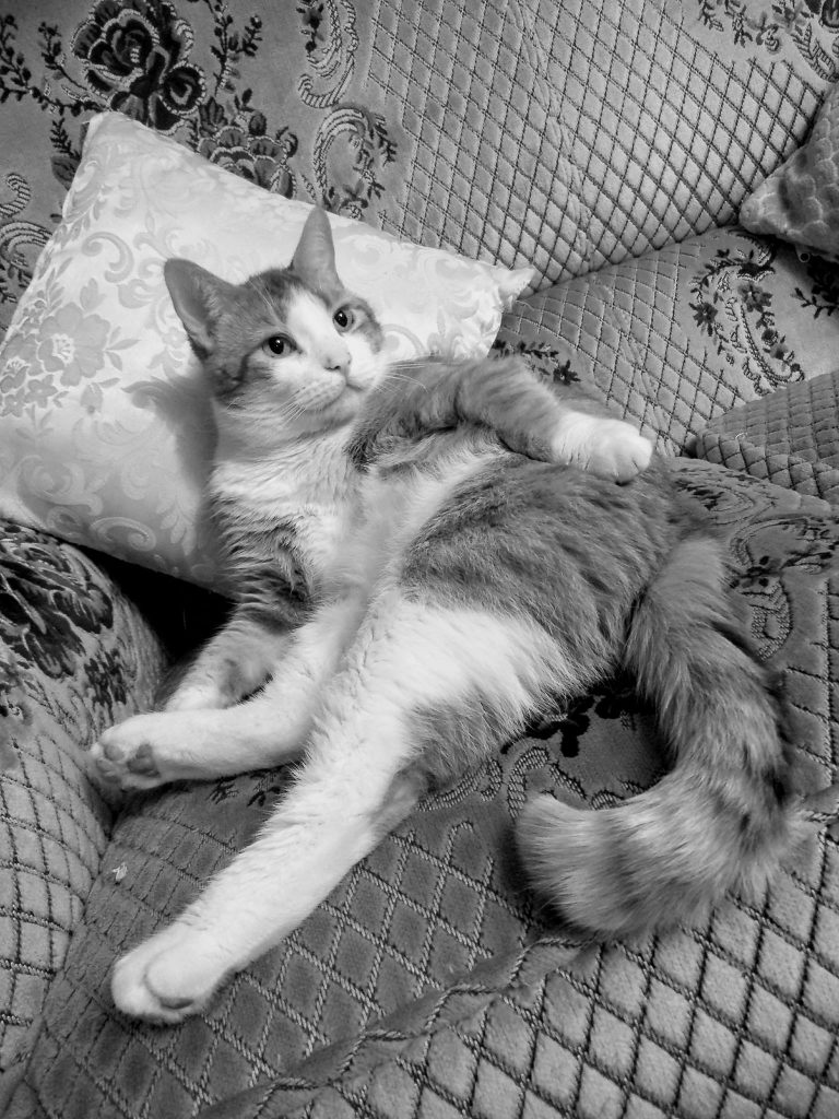 His funny pose