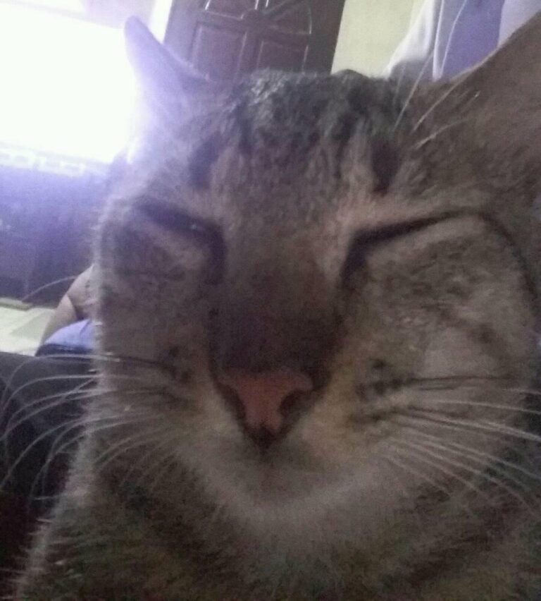 when ur trying to be strong but you're still sleepy :3