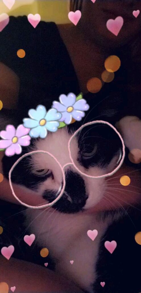Snap Chat filter