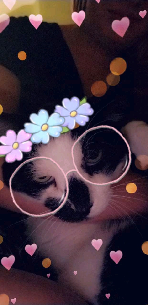 Snap Chat filter