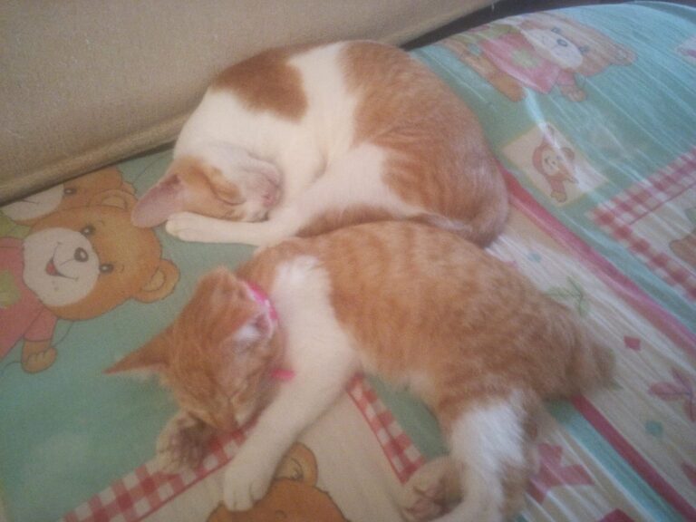 Good nite.zzzzzzzz.......