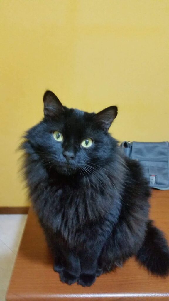 Il diablo