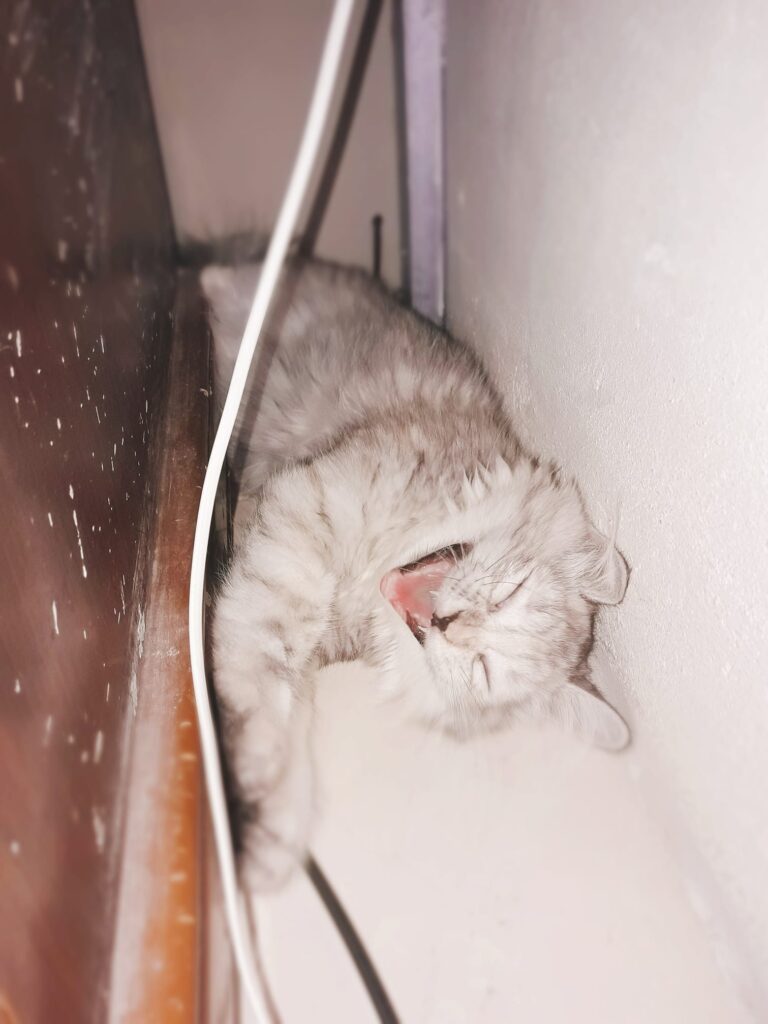 So sleepy~