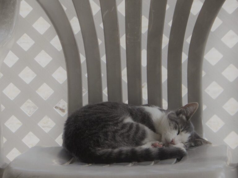 Sleeping Beauty