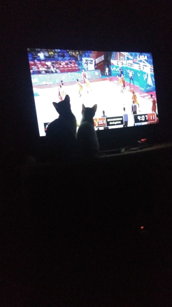I love basketball