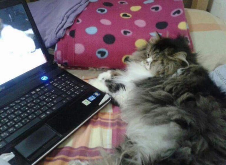 This is day off be like ....