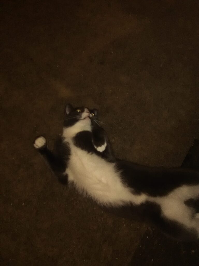 Emma chilling