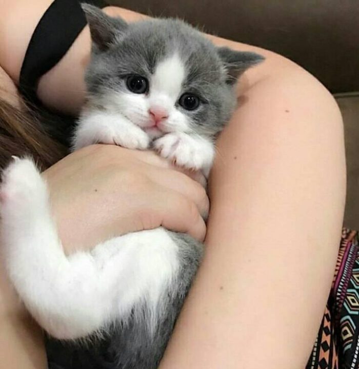 Got any such cutie?