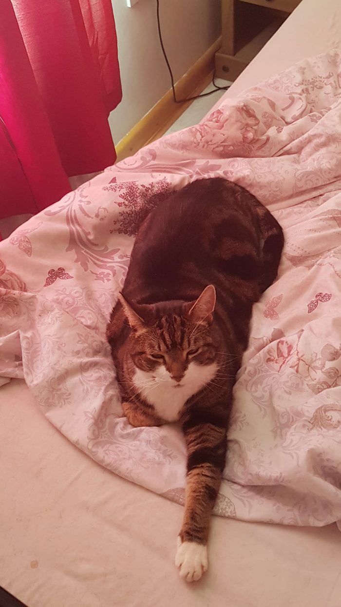 Chilled Tommy wishes all a lovely day
