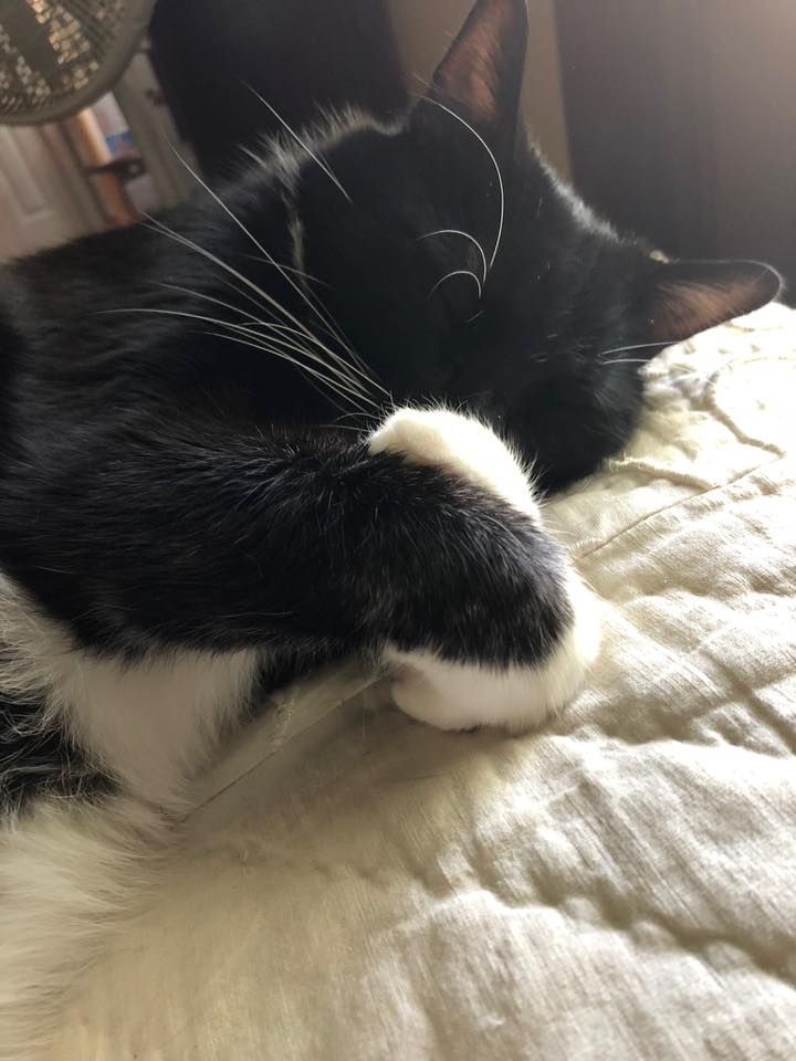 Now I lay me down to sleep