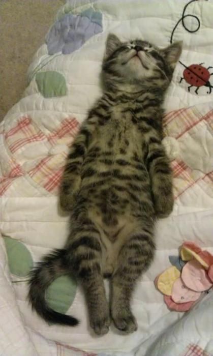 Ahh…is this one of those memory-foam mattresses?