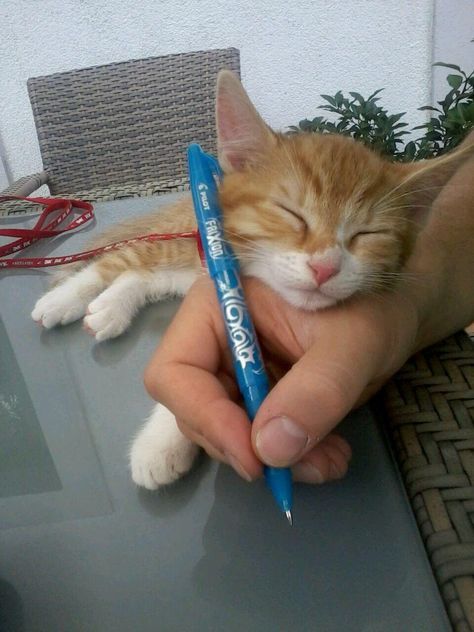 Arthur doesn’t care if you want to write something down, he wants to