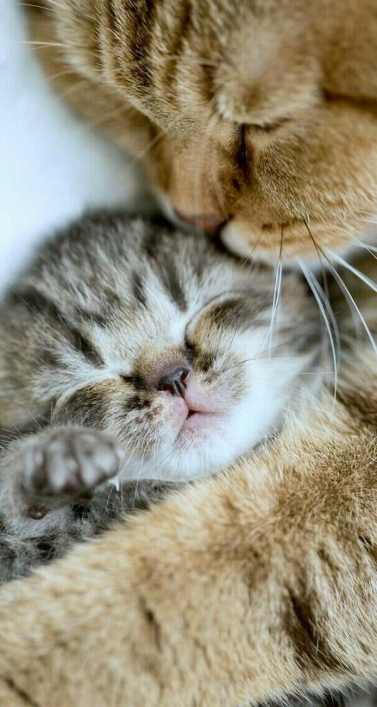 Mama and baby