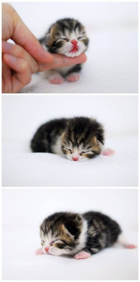OMG ♥ please be mine www.facebook.com/