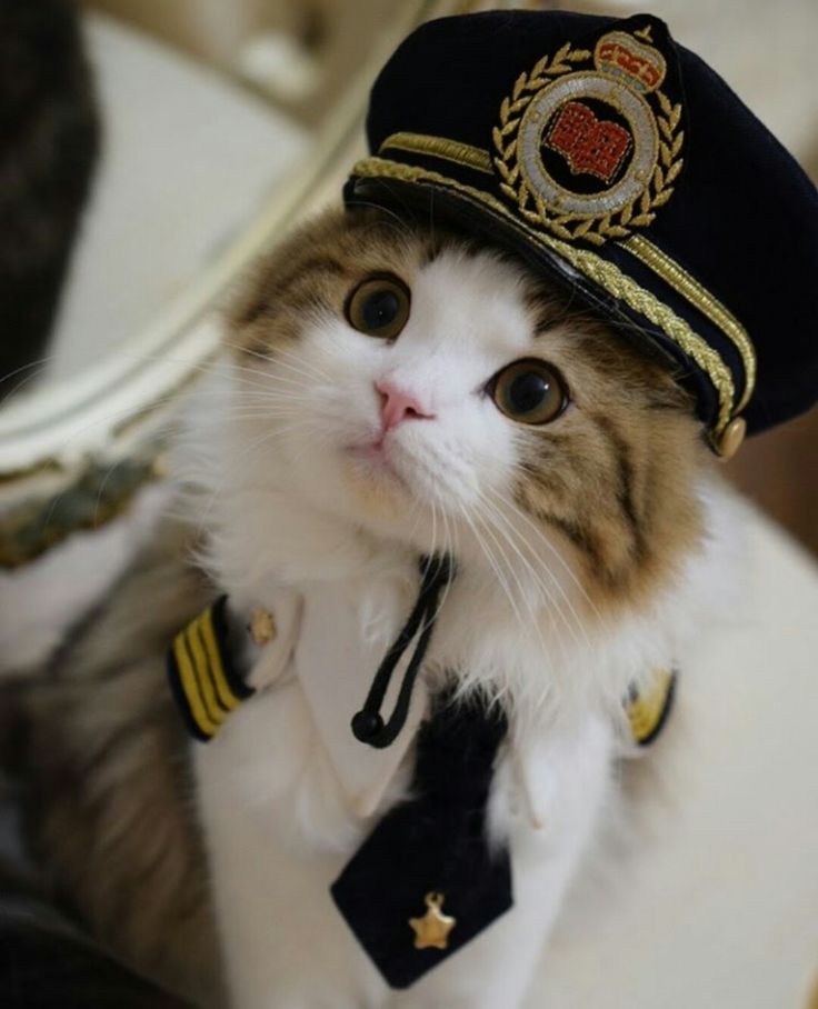 Ok I’m ready let’s get the boat n play