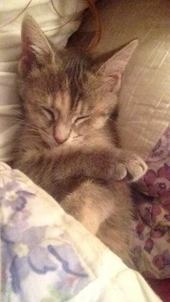 She Likes to Cuddle