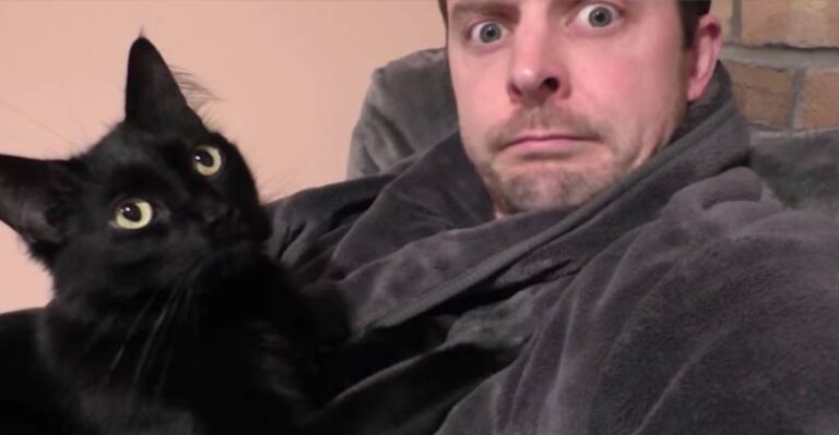 What Cat People Do When It’s Cold Outside – We Love Cats and Kittens