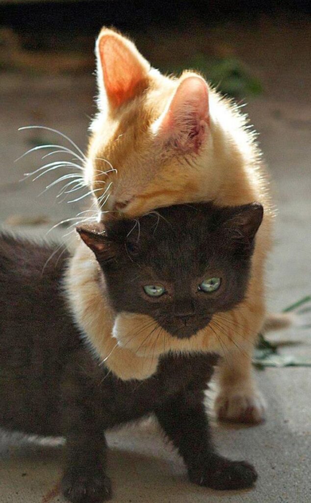 Best friends forever!!!