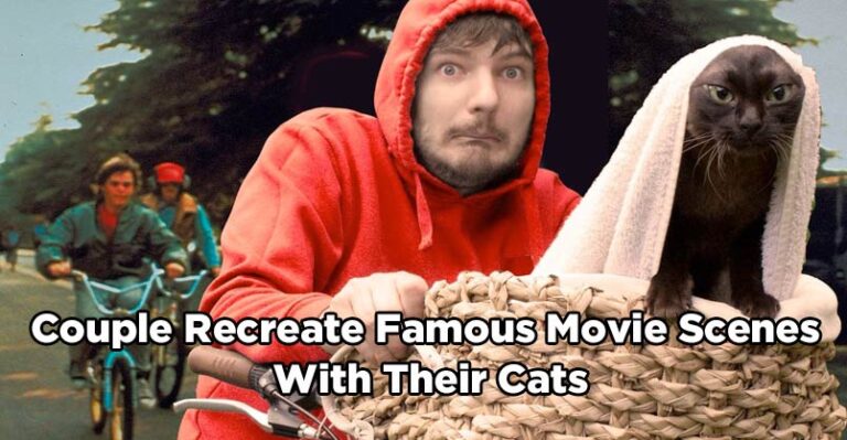 Couple Recreate Famous Movie Scenes With Their Cats – We Love Cats