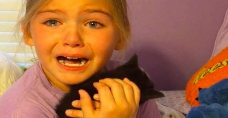Adorable Girl Meets Kitten For the First Time and Cries Tears of Pure