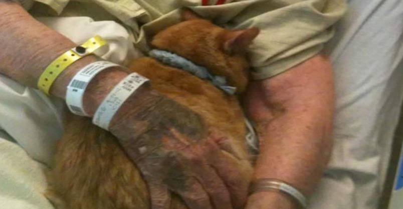 Elderly Woman’s Dying Wish Is To Say Goodbye To Her Cat – We Love