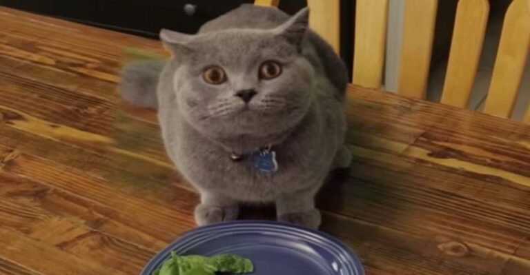 When You Don’t Finish Your Plate