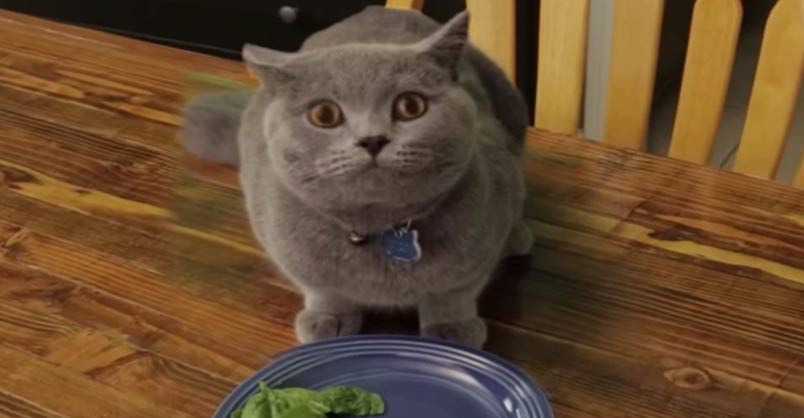 When You Don’t Finish Your Plate