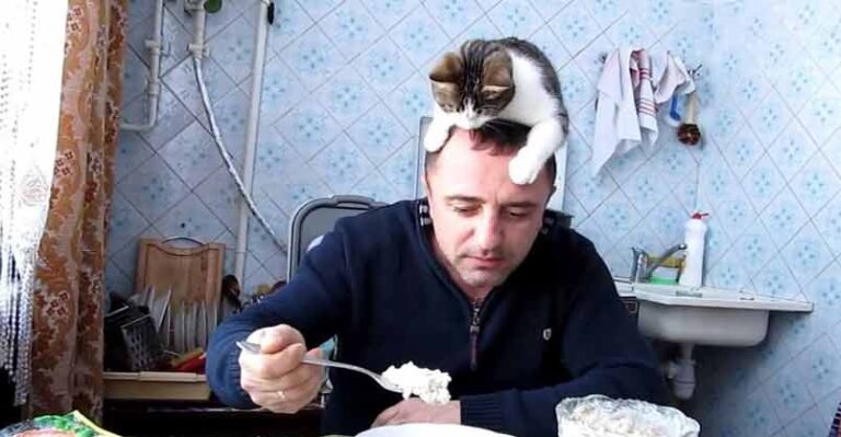Cheeky Cat Loves to Watch Her Human Eat….From Above !!