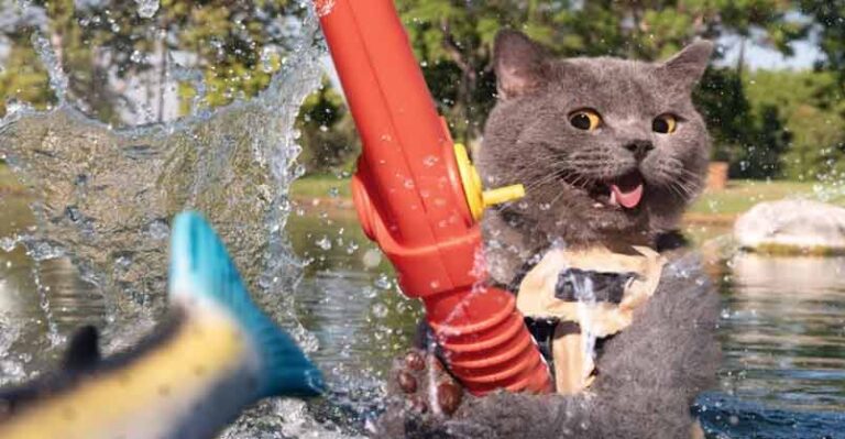 Gone Fishing !! – We Love Cats and Kittens